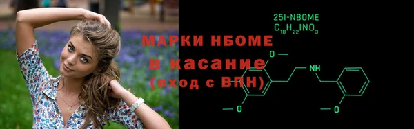 хмурый Абаза