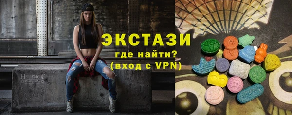 индика Приозерск