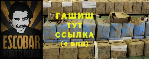 индика Приозерск